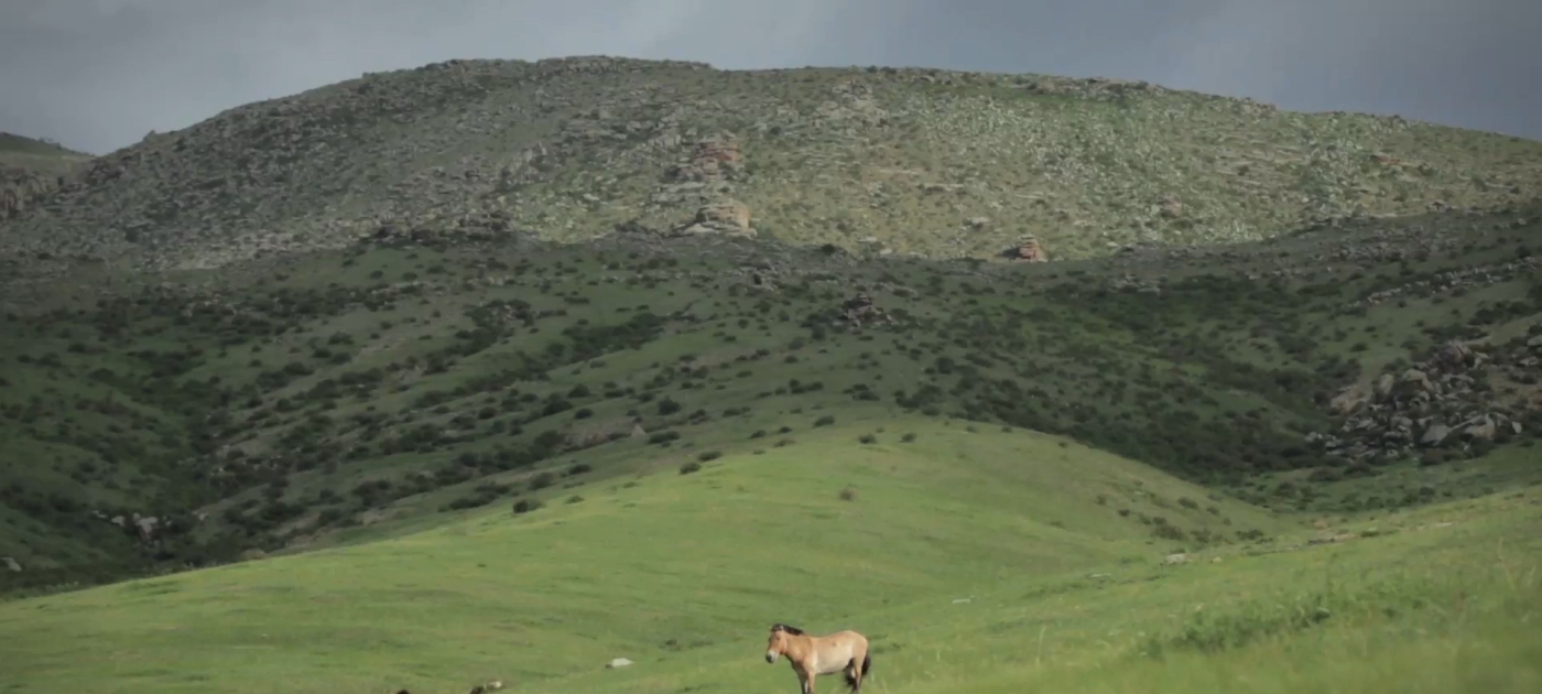 Rangeland restoration: a new priority for the next decade Photo by UN Environment