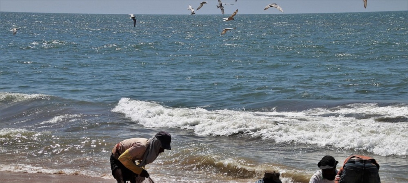 Marine litter and environmental justice