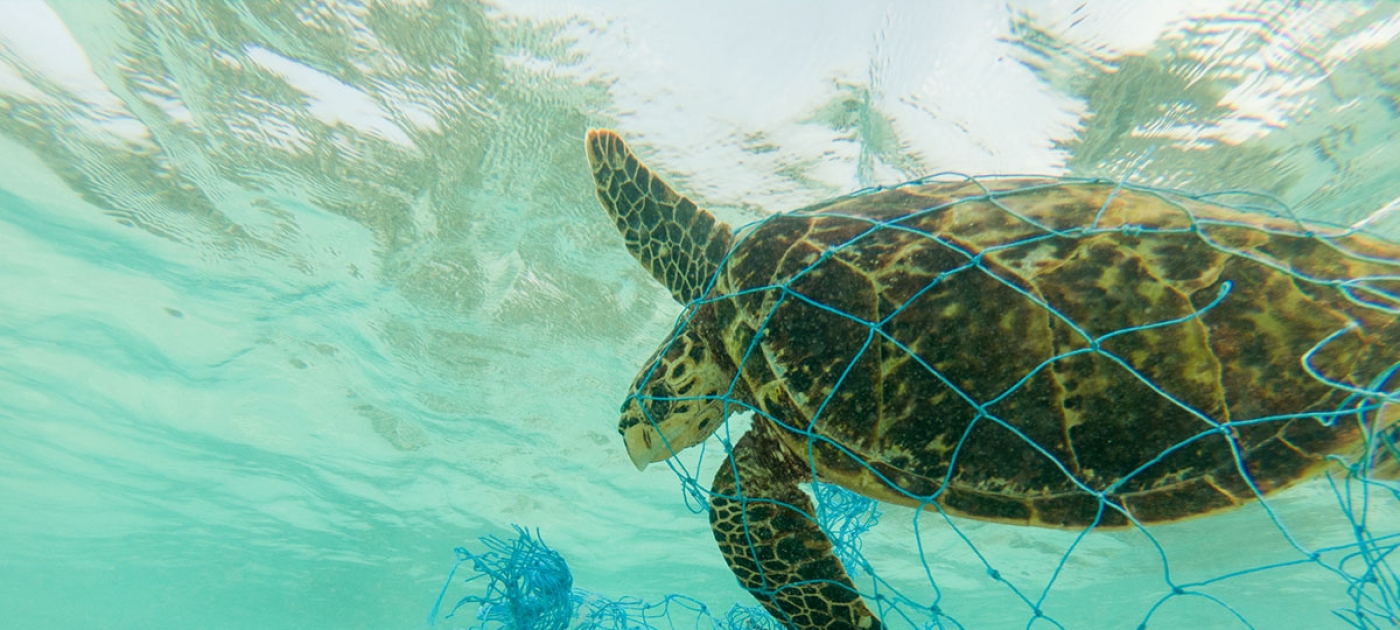 Enroll in our massive open online course on marine litter