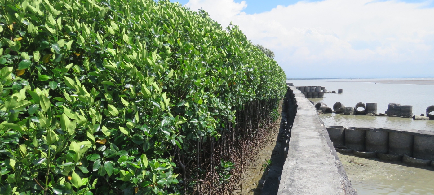 Green infrastructure nature’s best defence against disasters Photo: Karen Sudmeier-Rieux/UN Environment