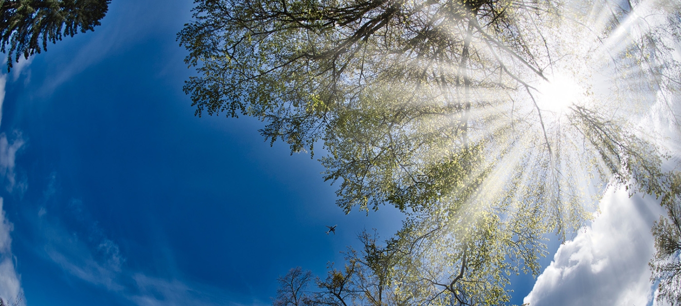 First in class: how schools and universities are practising what they preach on carbon emissions Photo by Unsplash