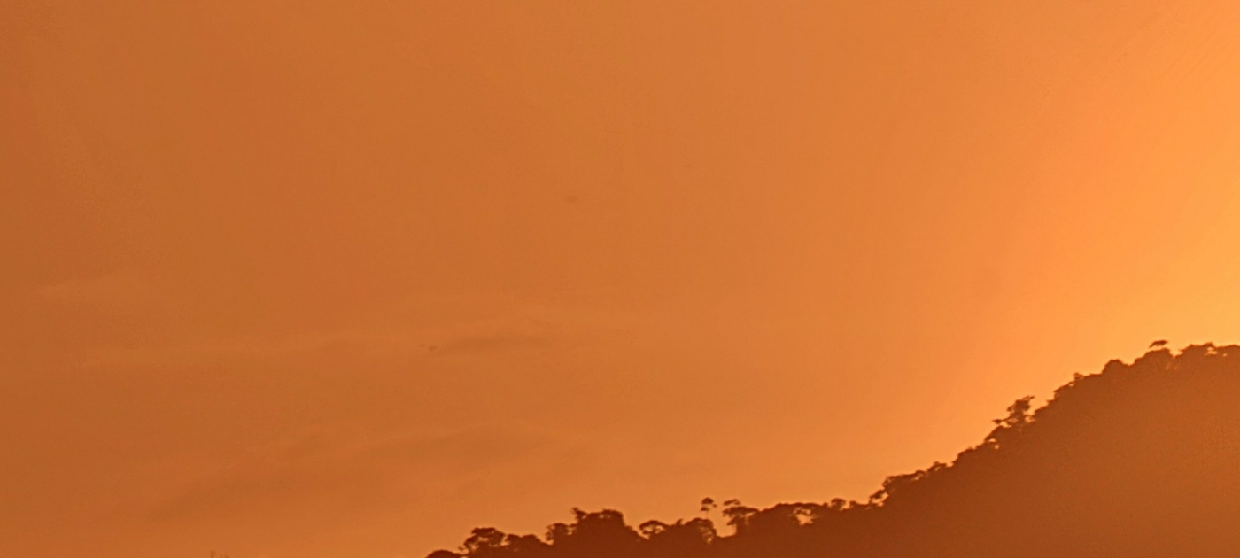 Guyana and UN Environment collaborate on strategy for environmental development Photo: Pixabay/FERRAND