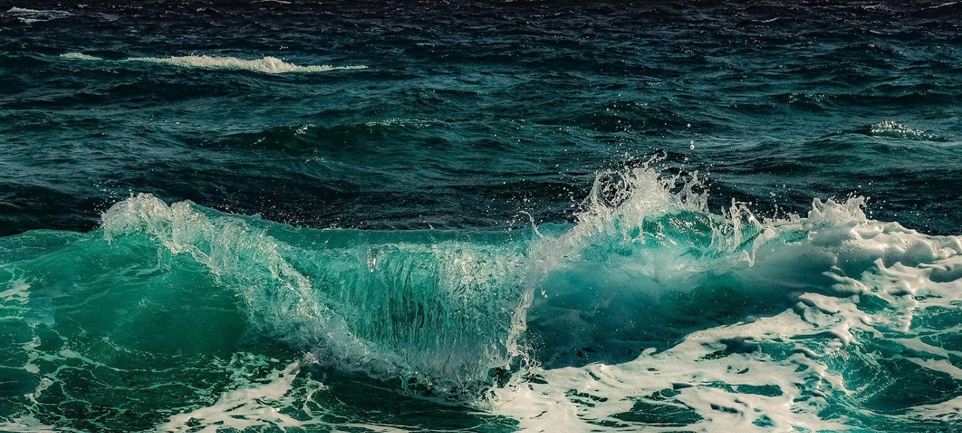 NEAT—a satellite-based technique to keep an eye on growing eutrophication threat to oceans