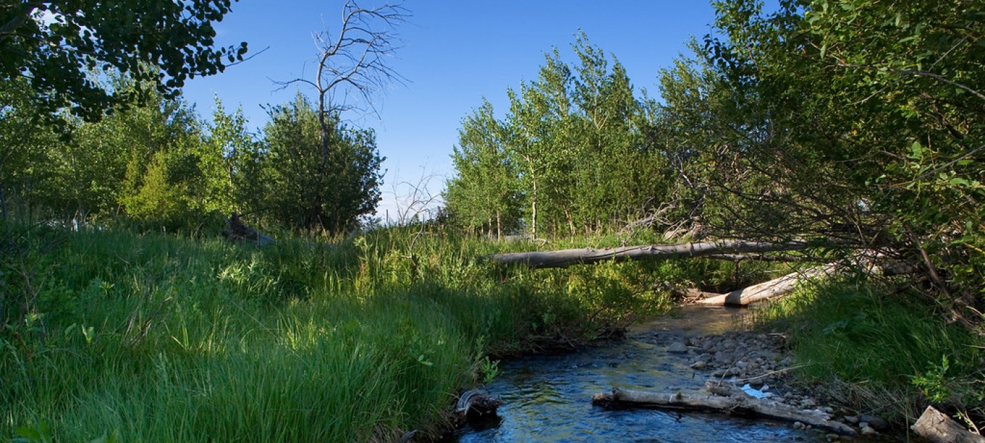 Asbestos in the natural environment: how safe are we? Photo by flickr/ Patrick Alexander