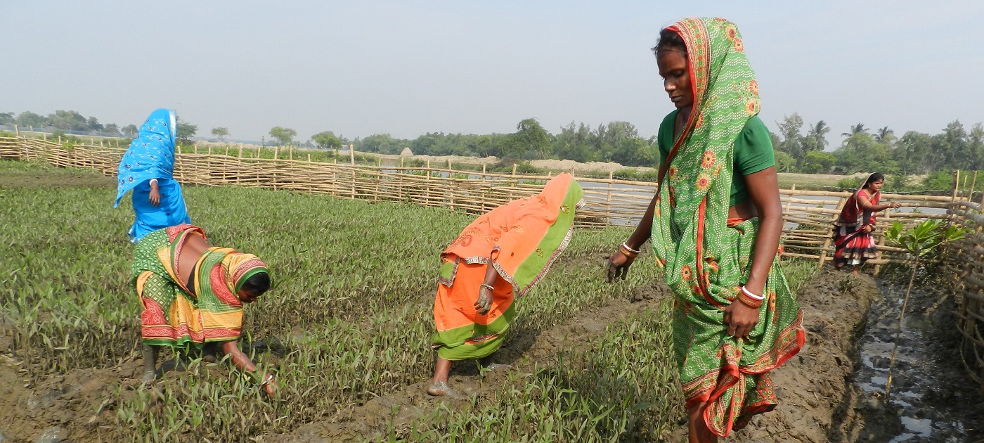 Women as climate action ambassadors in coastal districts of India’s Odisha State Photo by Gender and Water Alliance
