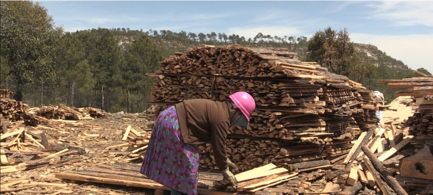 Protecting the Sierra Tarahumara, a biodiversity hot spot