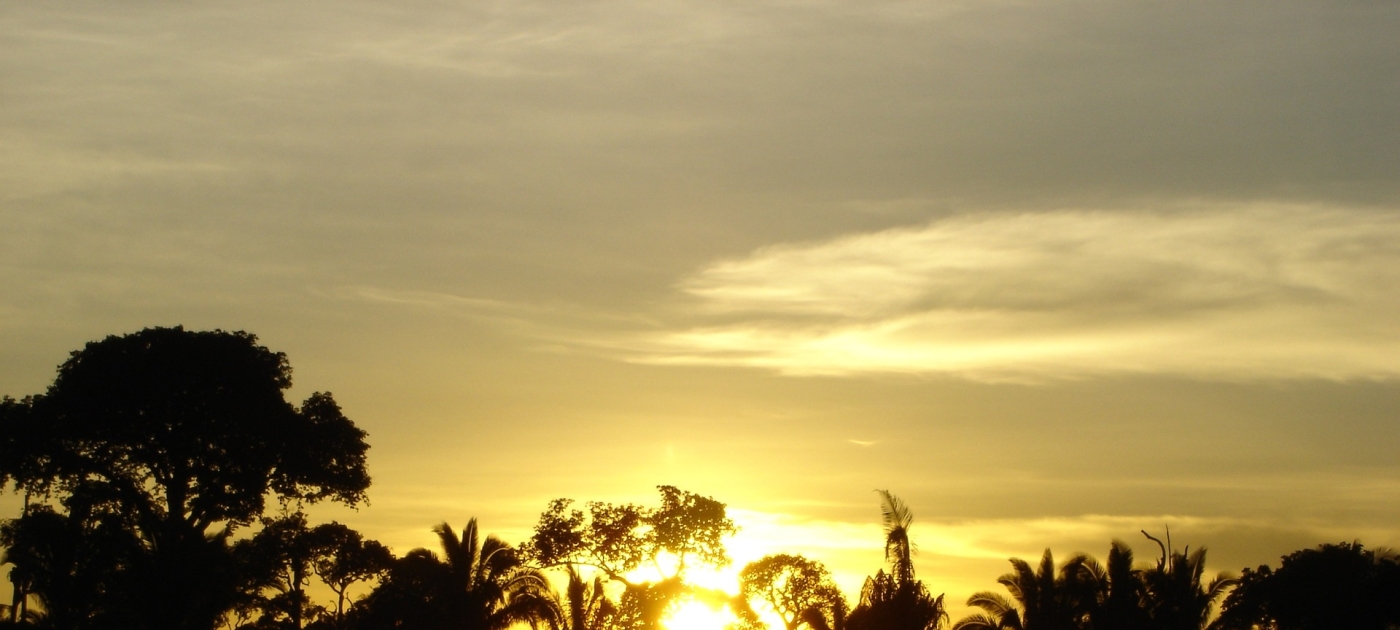 TV’s first-ever environmental thriller “Aruanas” pleads with us to take care of the Amazon Rainforest sdblack0/Pixabay