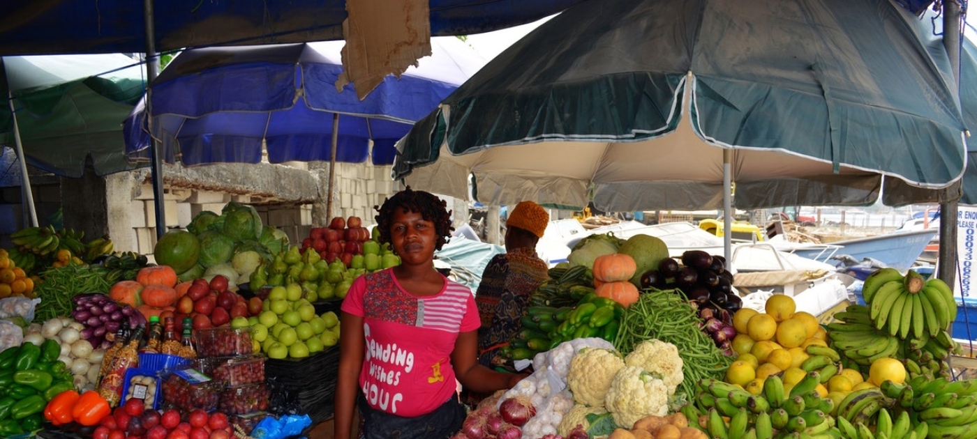 Dernier appel pour une révolution des systèmes alimentaires