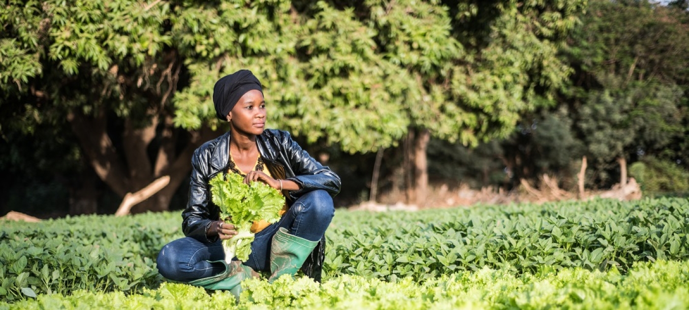 Persistence pays: powering a green economy