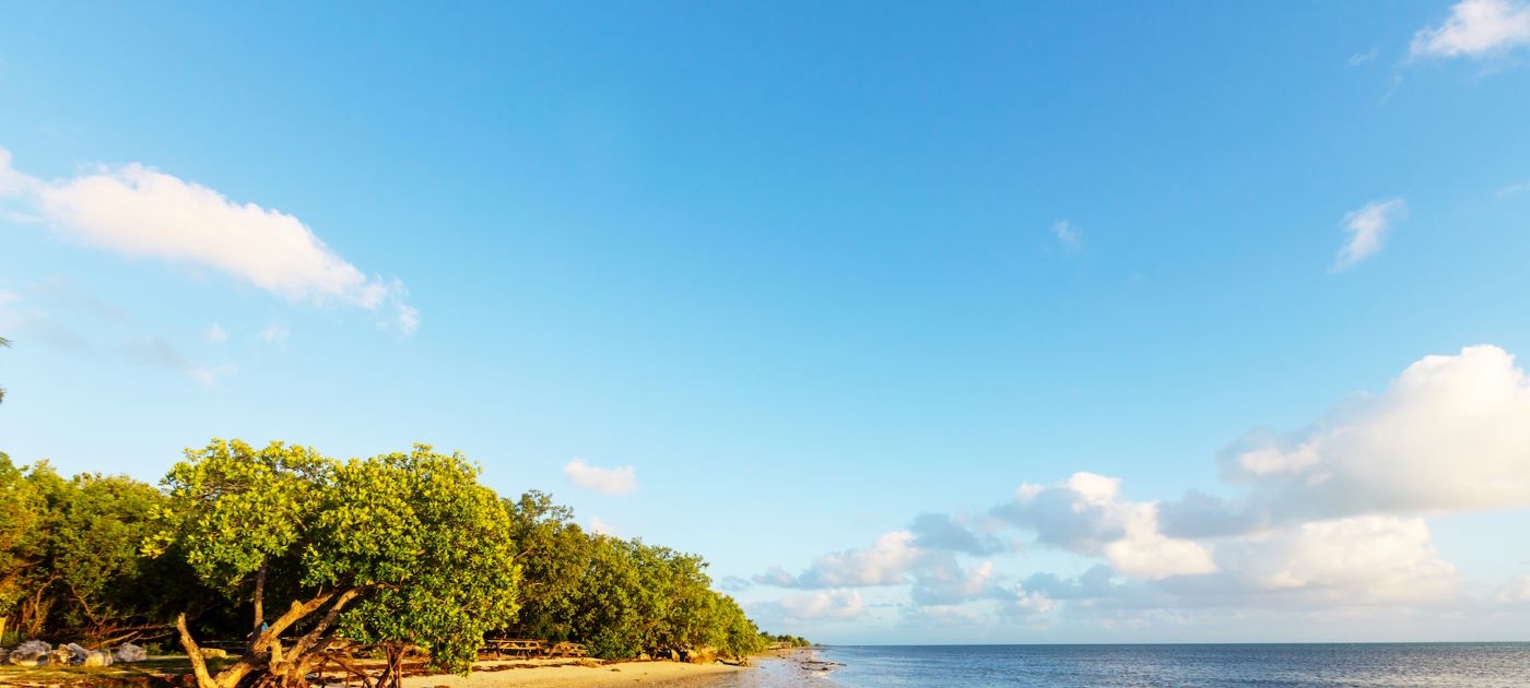 Mangroves: a Super Solution UN Environment
