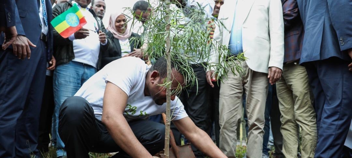 Ethiopia plants over 350 million trees in a day, setting new world record