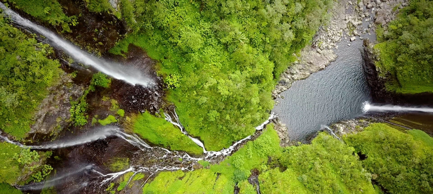Introducing the Interfaith Rainforest Initiative