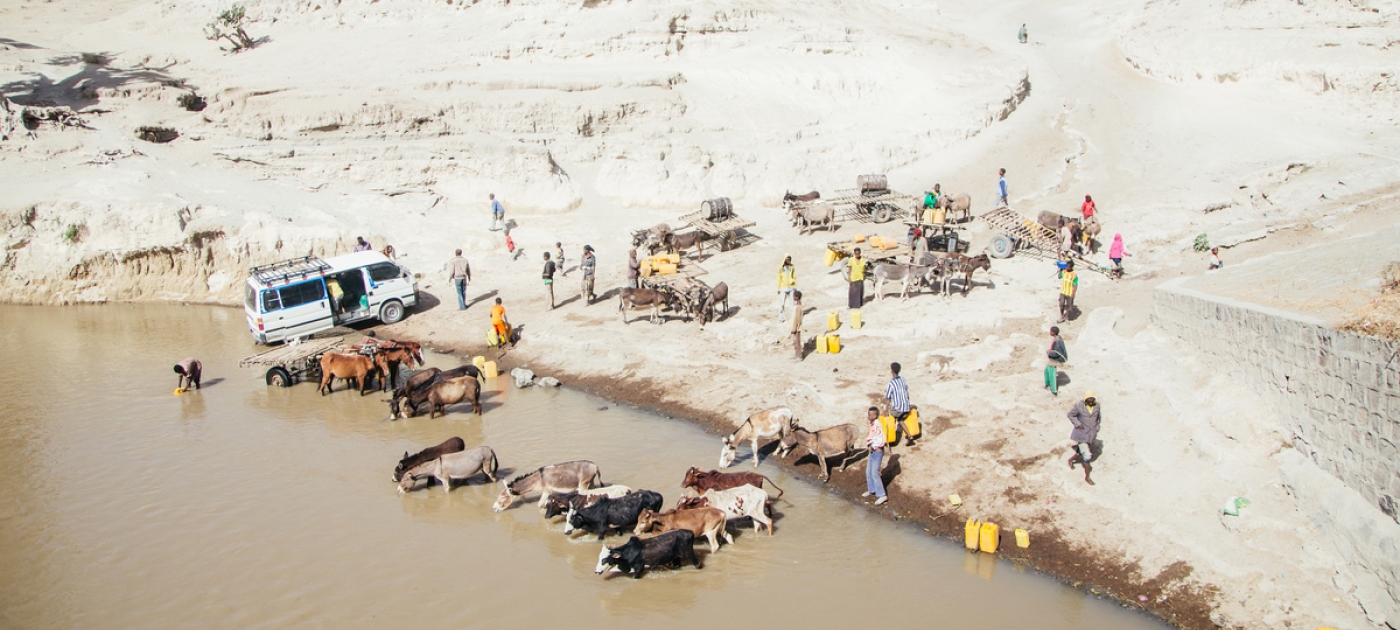 Water stress: why integrated management matters Photo by Aidan Dockery