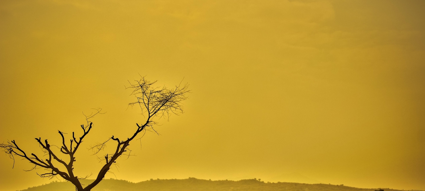 Land is a Critical Resource, IPCC report says Photo by Pixabay