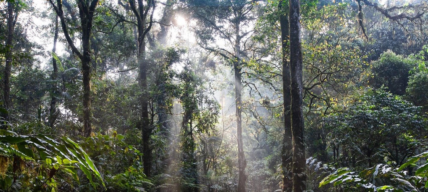 PNUMA e Escritório de Direitos Humanos da ONU assinam novo acordo para proteger o direito humano a um meio ambiente saudável