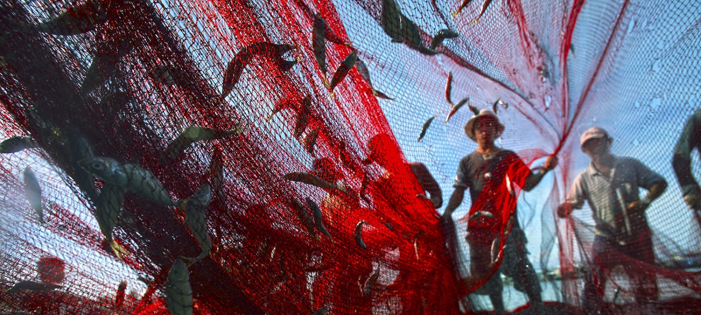 A Plan of Action for sustainable fisheries and oceans trade Photo by UNDP