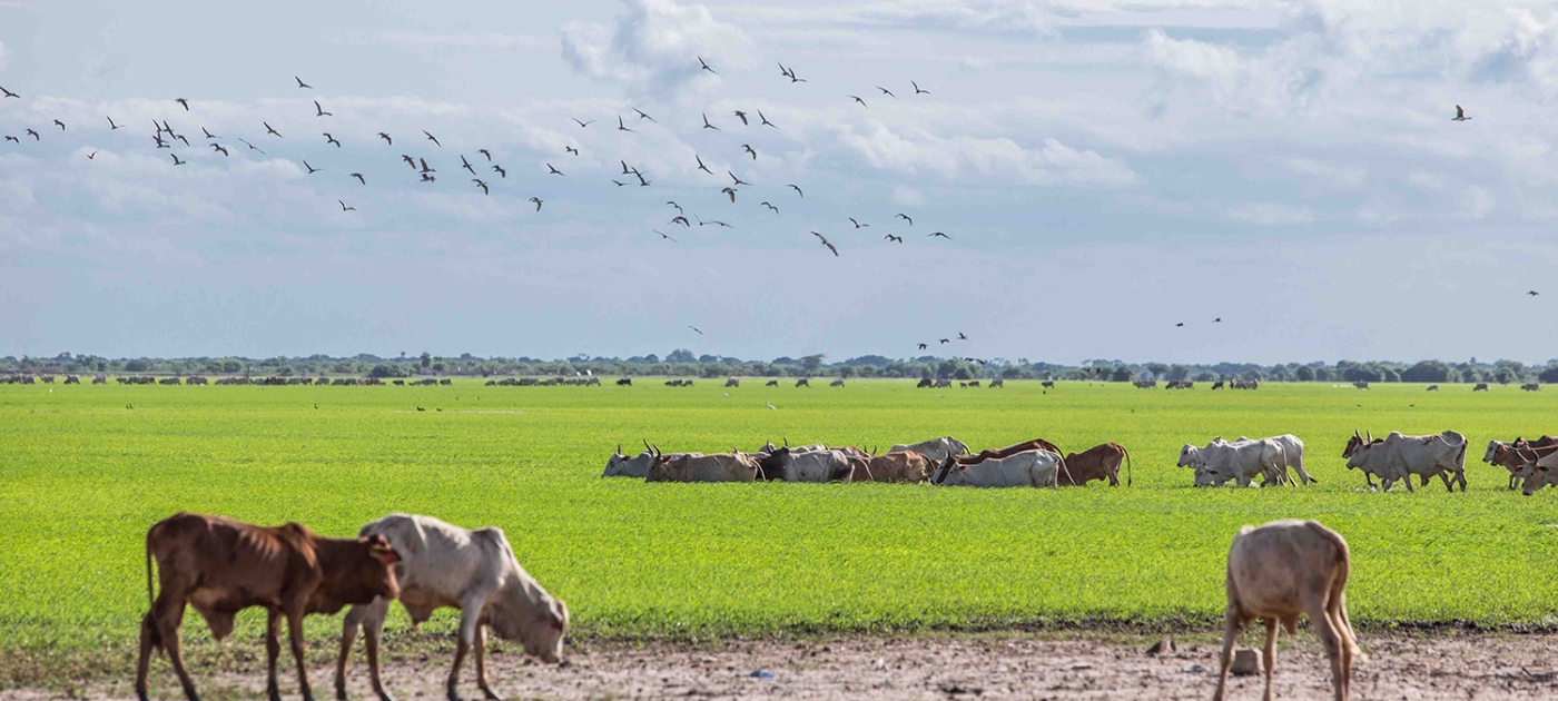 Balancing climate, conflict and community in Kenya Photo by UNEP / Lisa Murray