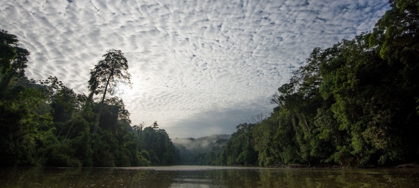 Sí es posible preservar la Amazonía Parc amazonien de Guyane