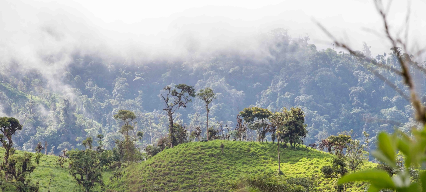 From slim pickings to greener pastures Photo by UNEP / Lisa Murray