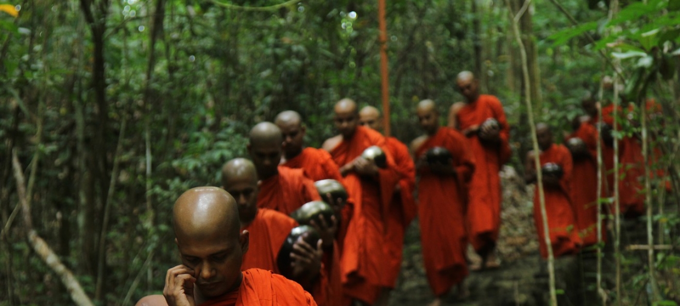 Faiths for Forests campaign launched at Climate Action Summit Photo by Pixabay