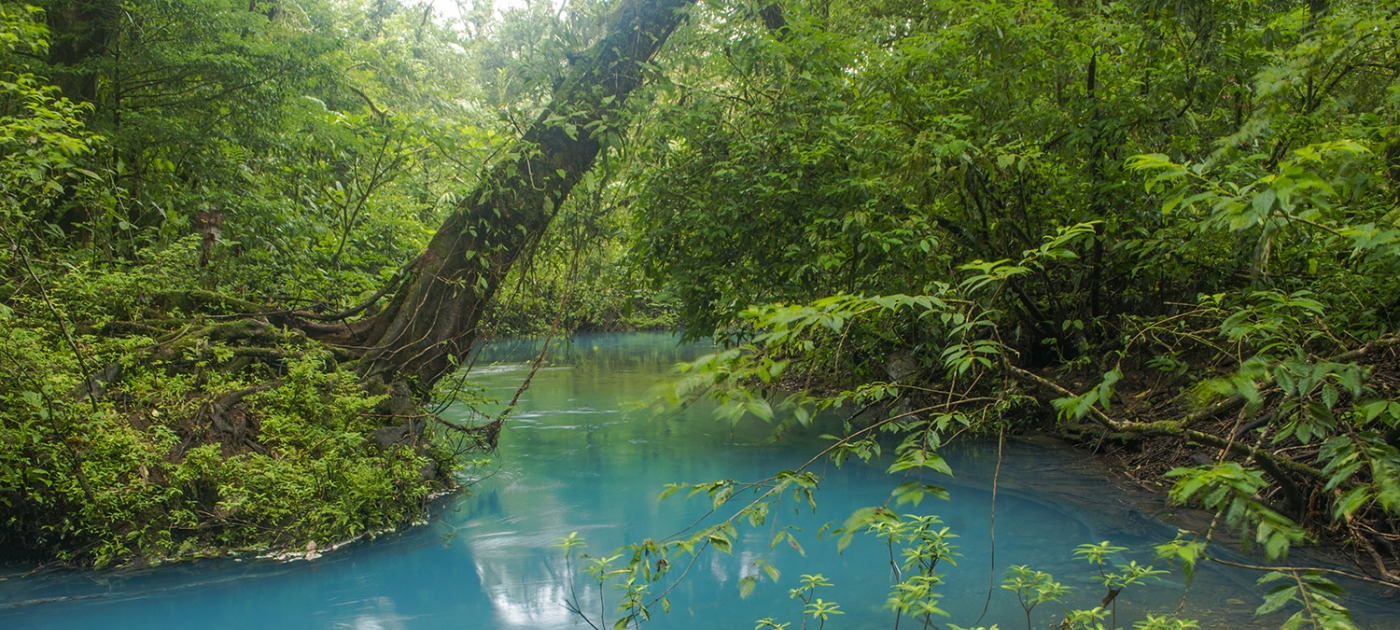 Costa Rica: the ‘living Eden’ designing a template for a cleaner, carbon-free world Photo by Presidency of Costa Rica