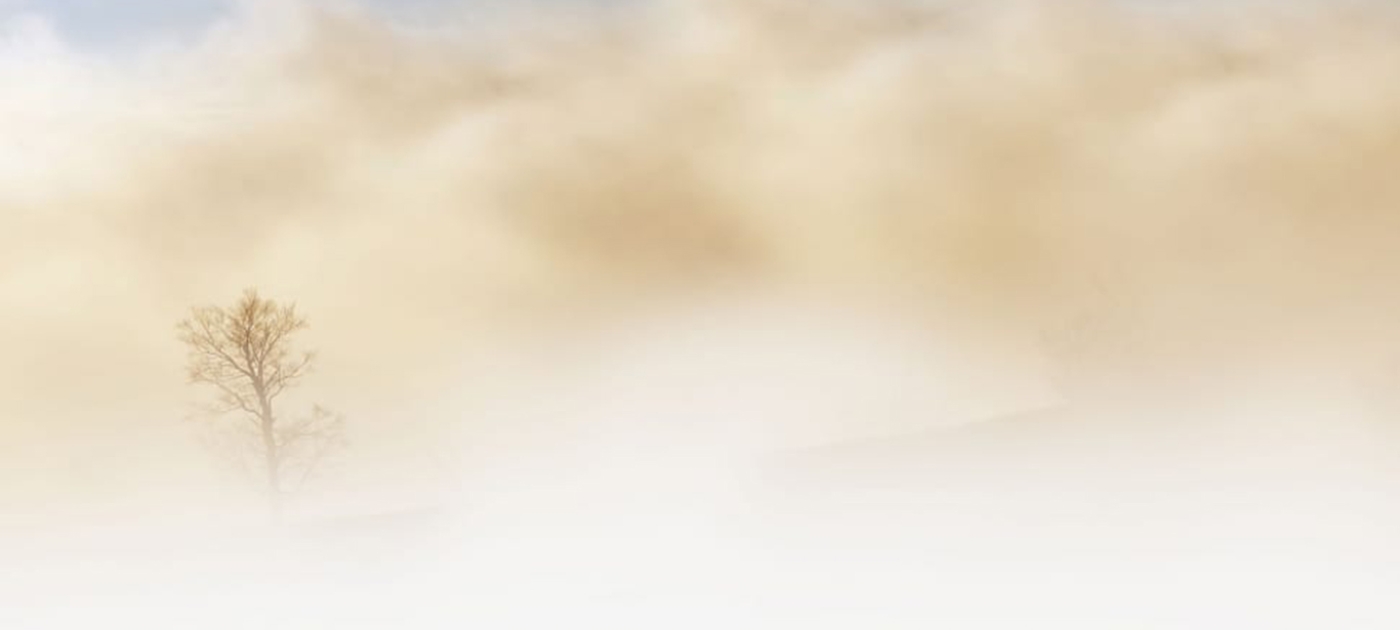 UNEP helps launch new global coalition to combat sand and dust storms Photo by Wikimedia