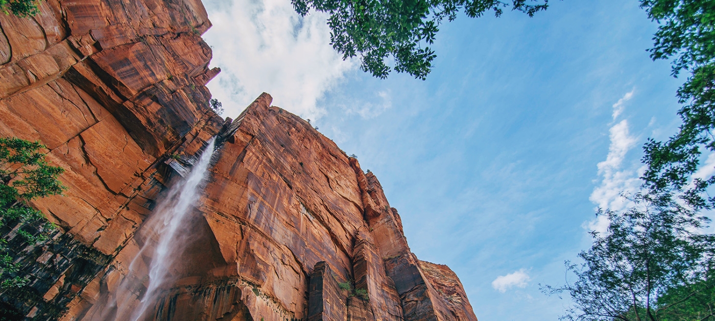 Defenders of the Earth: UN Champions whose passion for the planet defined their lives Photo by Unsplash/ Wil Stewart