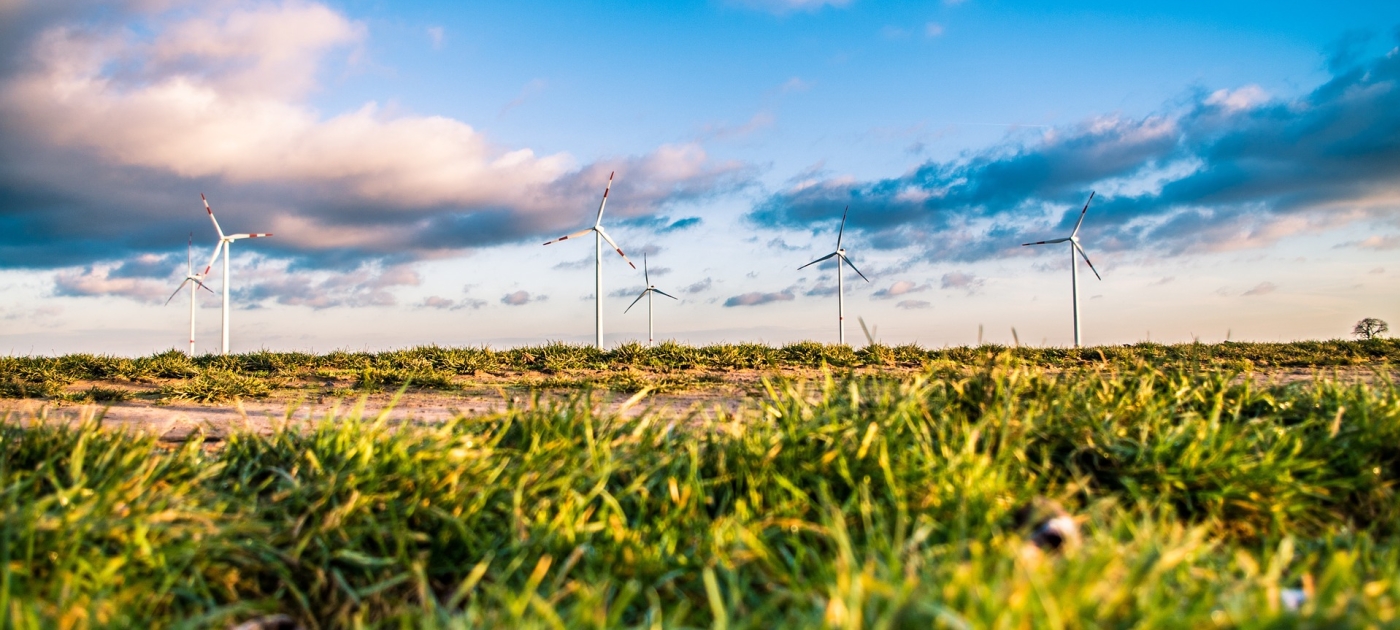 UNEP and German Ministry for Environment launch GO for SDGs to accelerate and scale the green economy transition Pixabay