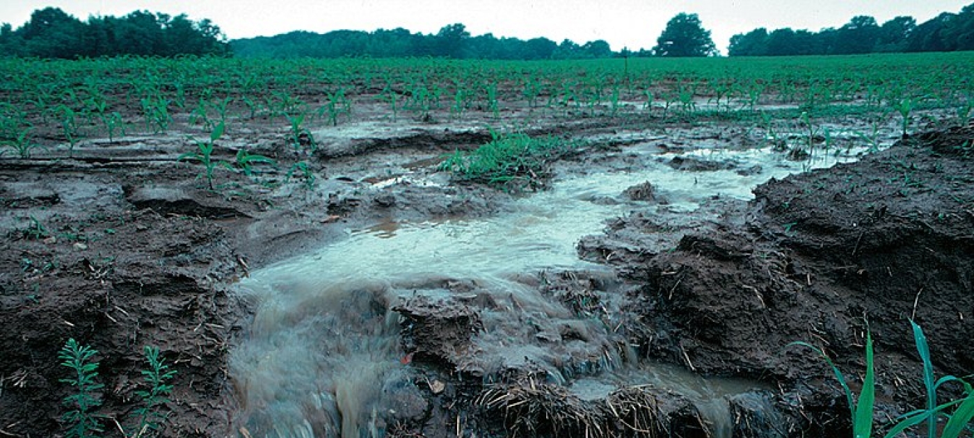 Changing the approach: turning nitrogen pollution into money