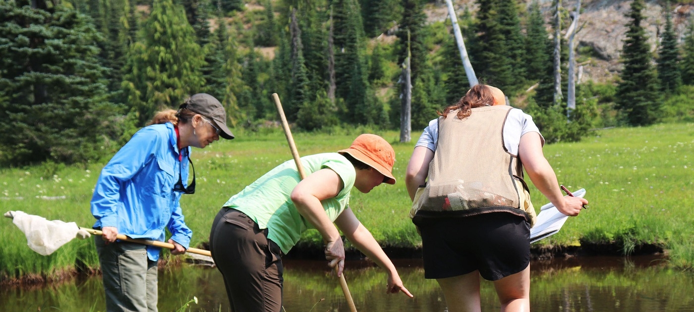 The untapped potential of citizen science to track progress on the Sustainable Development Goals Photo by Ivie Metzen/United States National Park Service