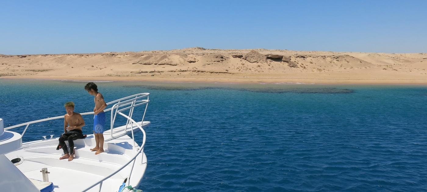 Protecting Egypt’s colourful coral reefs with Green Fins