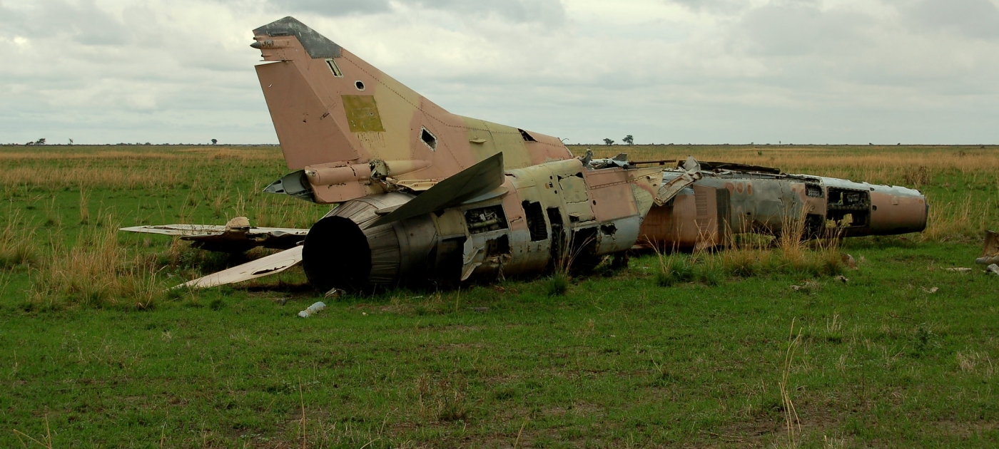 Rooting for the environment in times of conflict and war