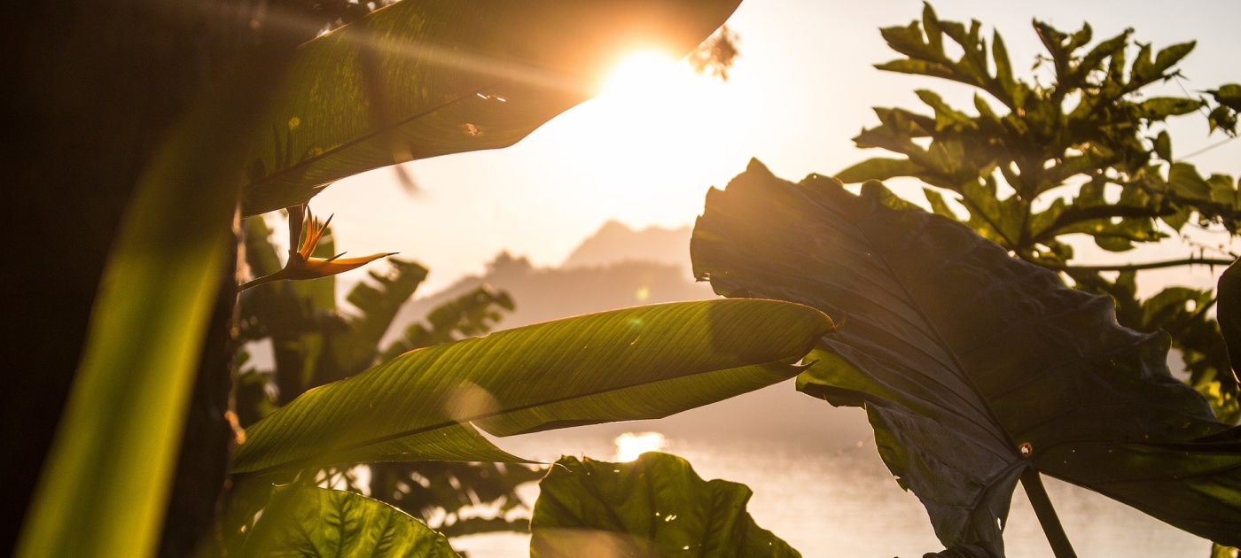 Major new project to use nature-based solutions to help Laos adapt to climate change Pixabay
