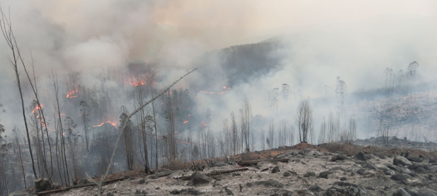 Photo by Kishugu/Working on Fire