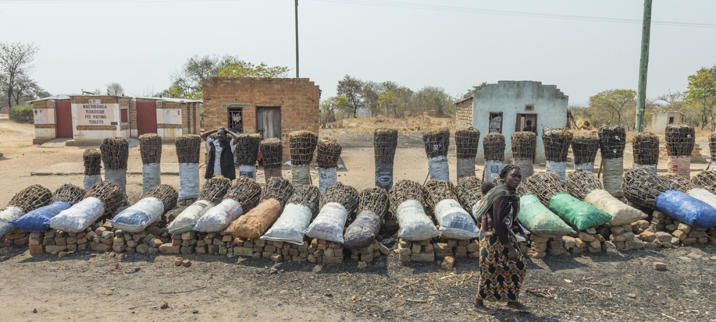 Charcoal: a burning issue Photo by UN-REDD Programme