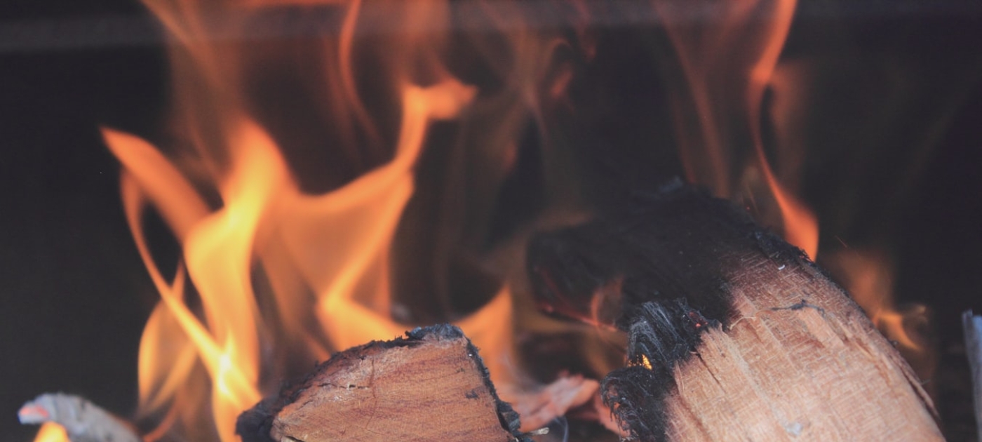 Sustainable bioenergy use: a clear path to biodiversity and sustainable economic development Photo ©: Unsplash
