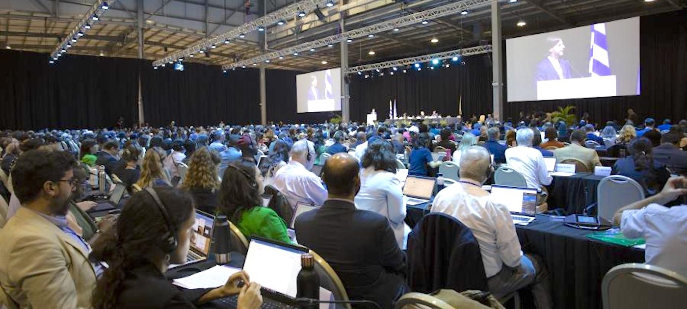 View of INC-2 Plenary during the opening