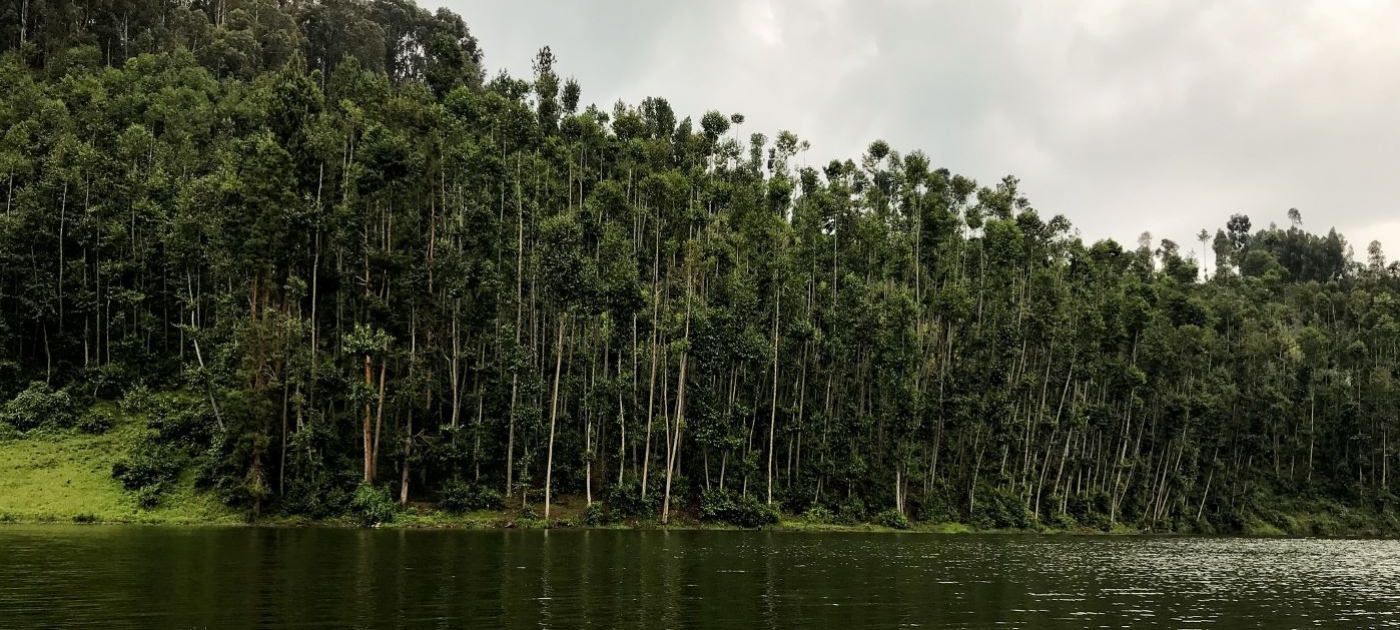 Wetlands in Rwanda