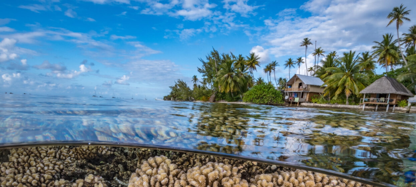 coral reefs