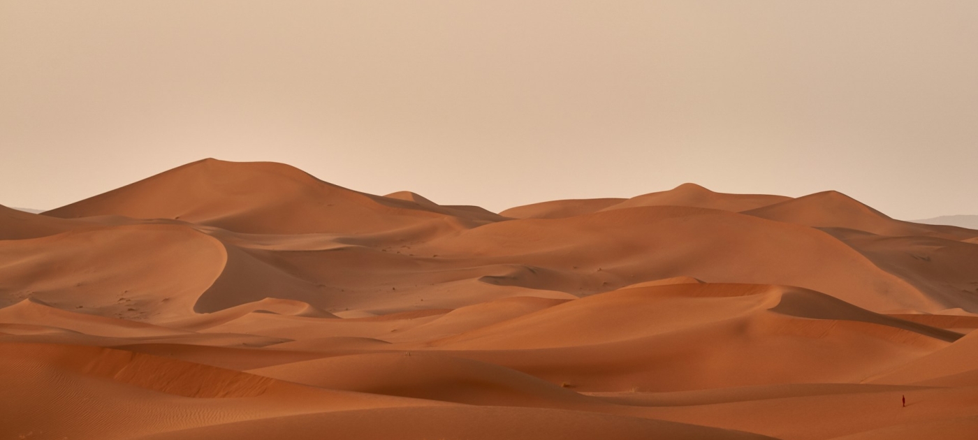 Desert field