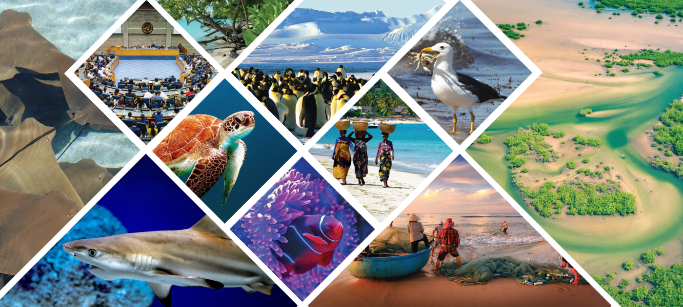 Regional Seas Programme