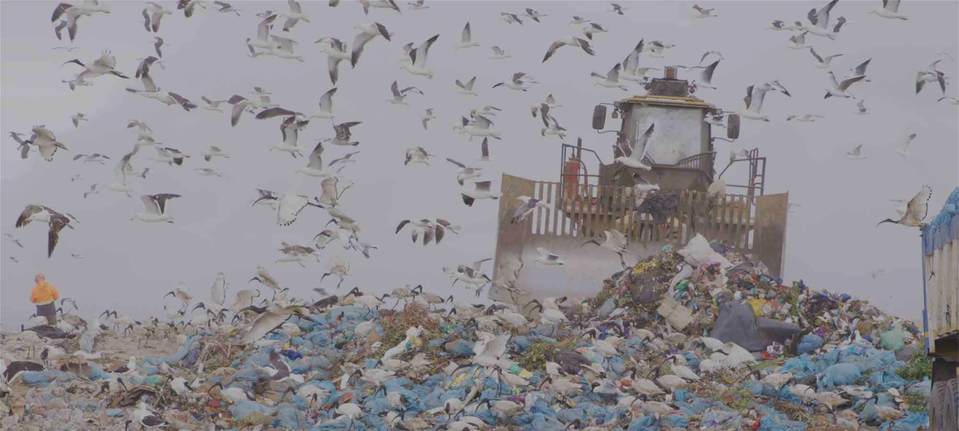 Tractor amongst waste debris