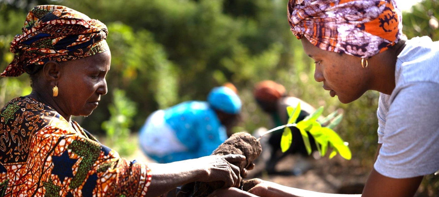 Farmers in Senegal supported by UNEP
