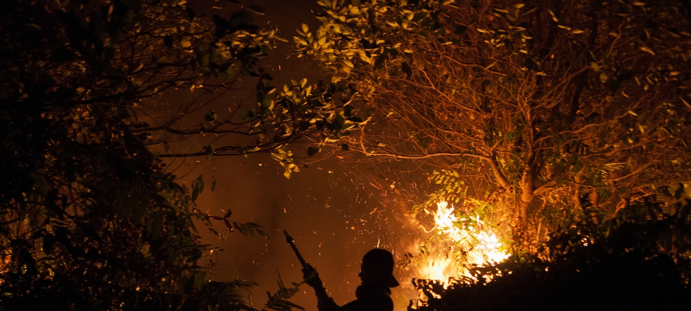 UN Environment Programme Statement on Southeast Asian Fires