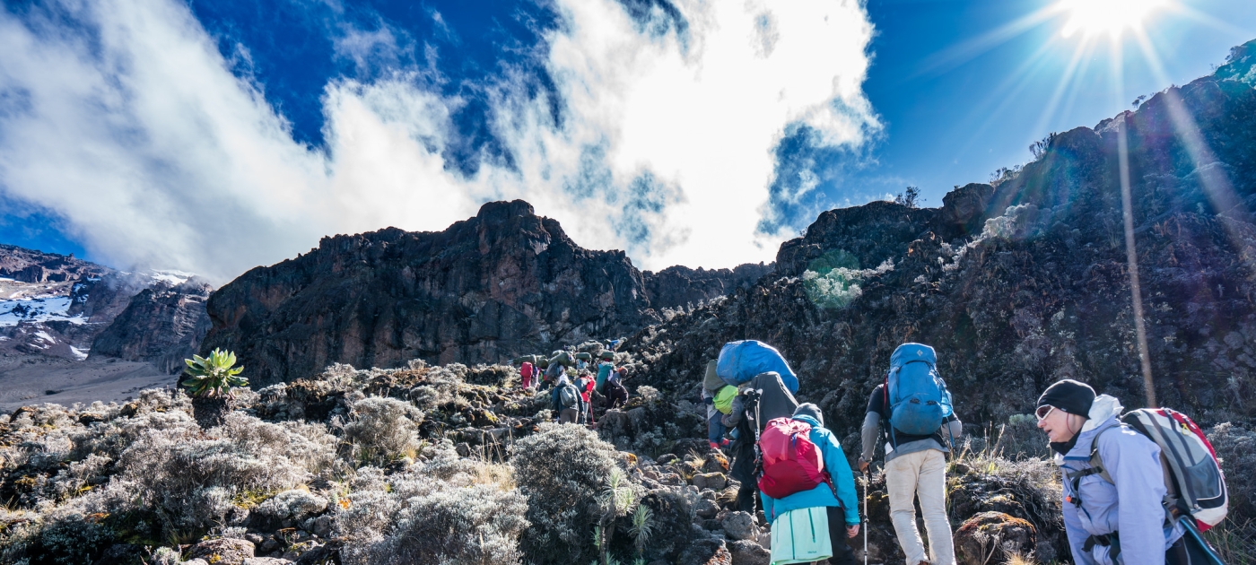 Reforesting Africa's highest mountain could halt severe water shortages - UN Environment