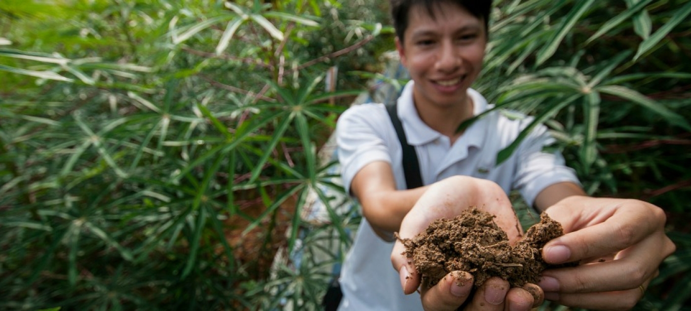 Evaluate Land to Halt Annual Loss of 24 Billion Tonnes of Fertile Soil, Expert Panel Says