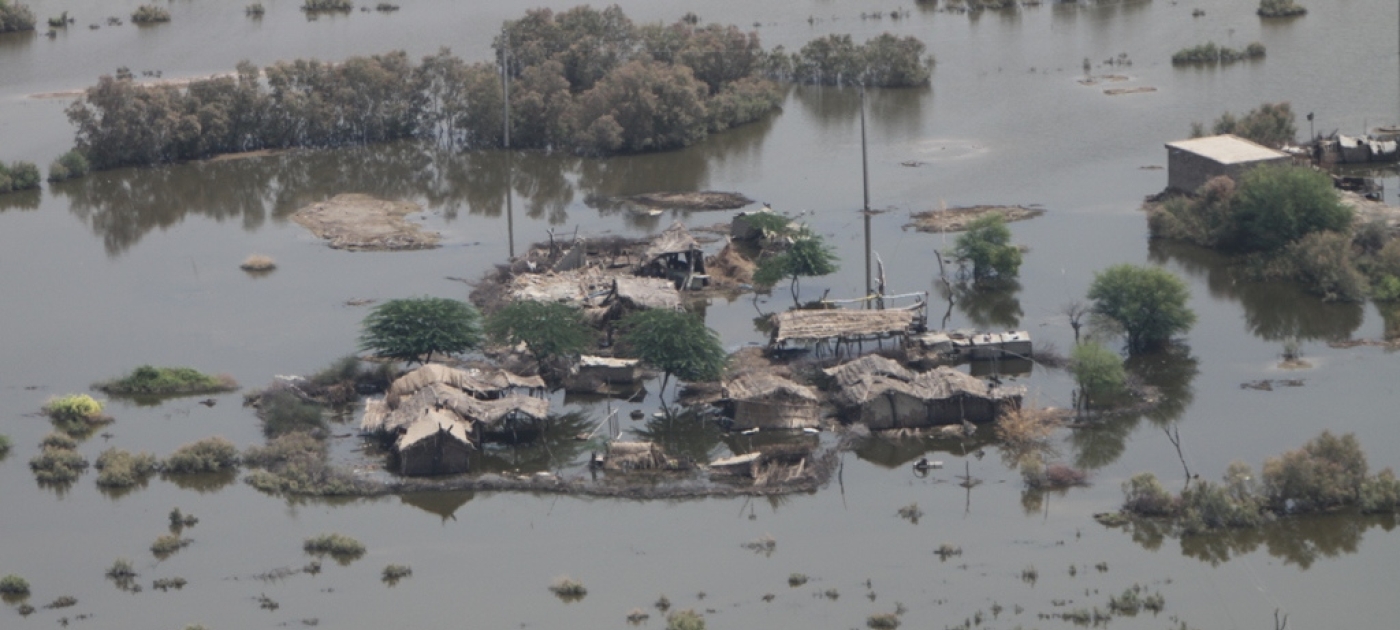 UN Leaders React to Pope Francis' Release of Encyclical on Climate and Environment
