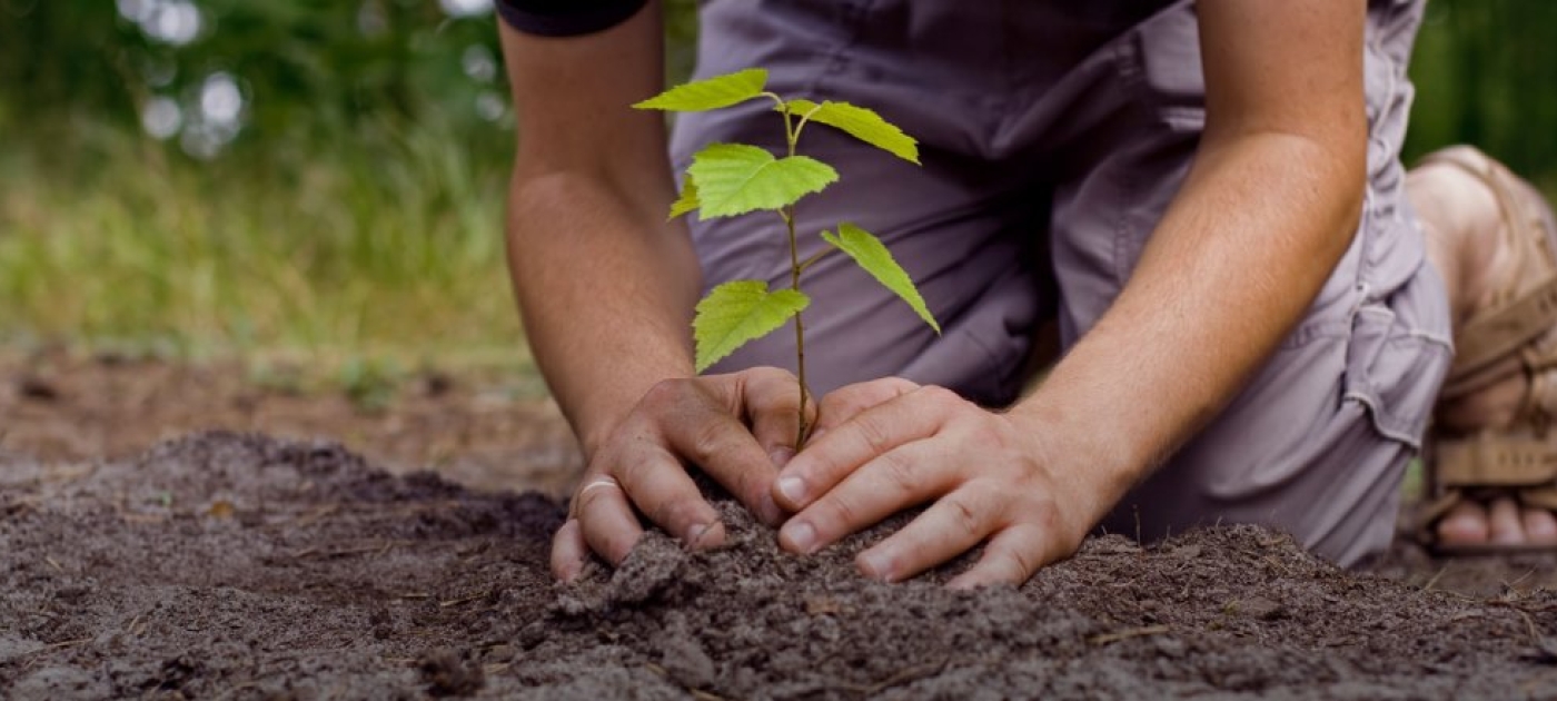 Media Alert: UNFCCC Secretariat and Earth Day Network Launch Campaign to Mark Signing of Paris Agreement and to Celebrate Earth Day on 22 April