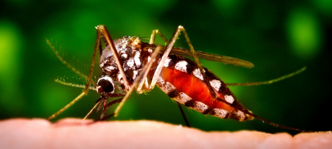 Toxic Crops and Zoonotic Disease: UNEP Identifies the Emerging Environmental Issues of Our Time