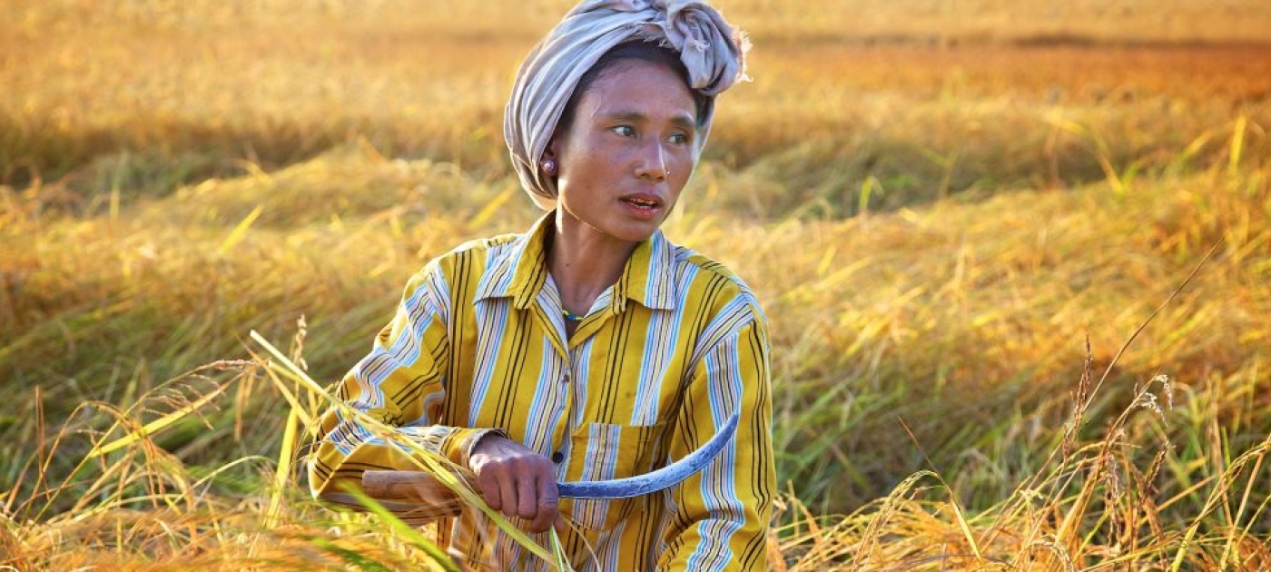 Ahead of UN Environment Assembly UNEP Says Cost of Adapting to Climate Change Could Hit $500 Billion per year by 2050